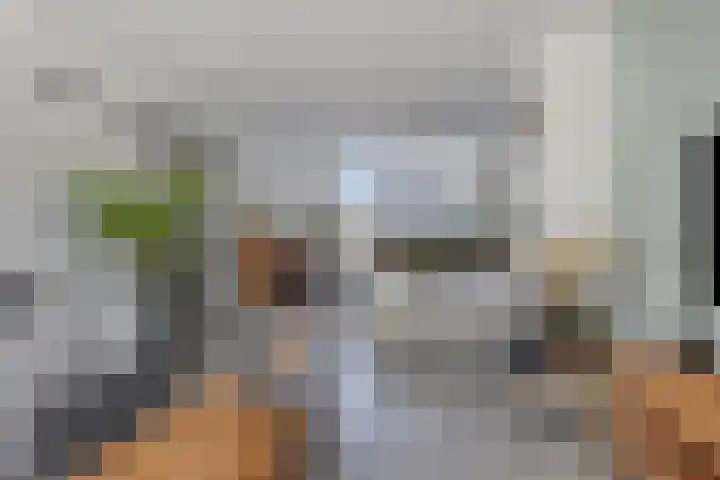 Ghijseland 257 Rhoon thumbnail 12