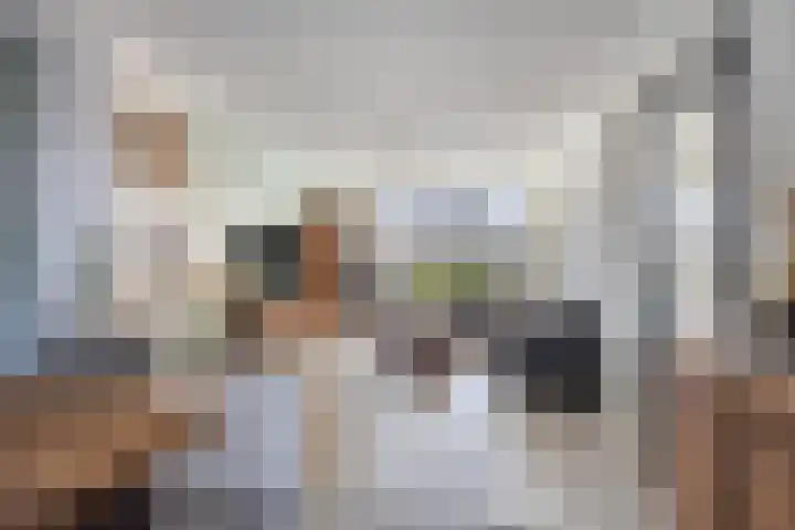 Ghijseland 257 Rhoon thumbnail 13