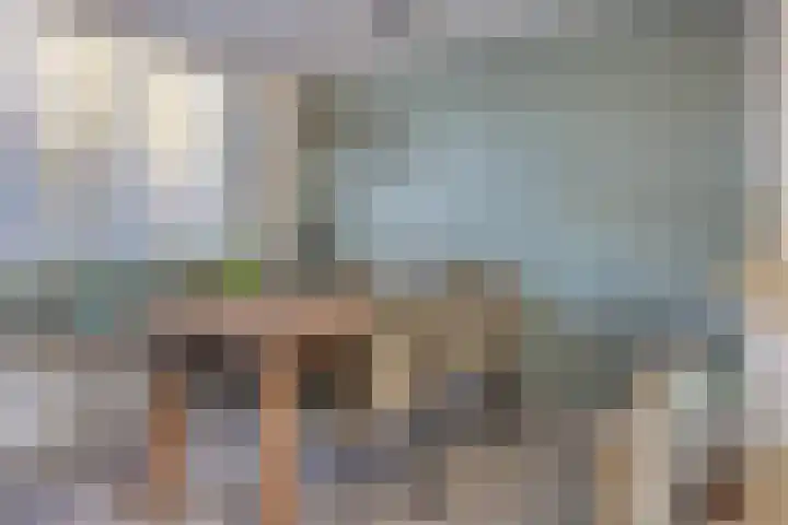 Ghijseland 257 Rhoon thumbnail 14