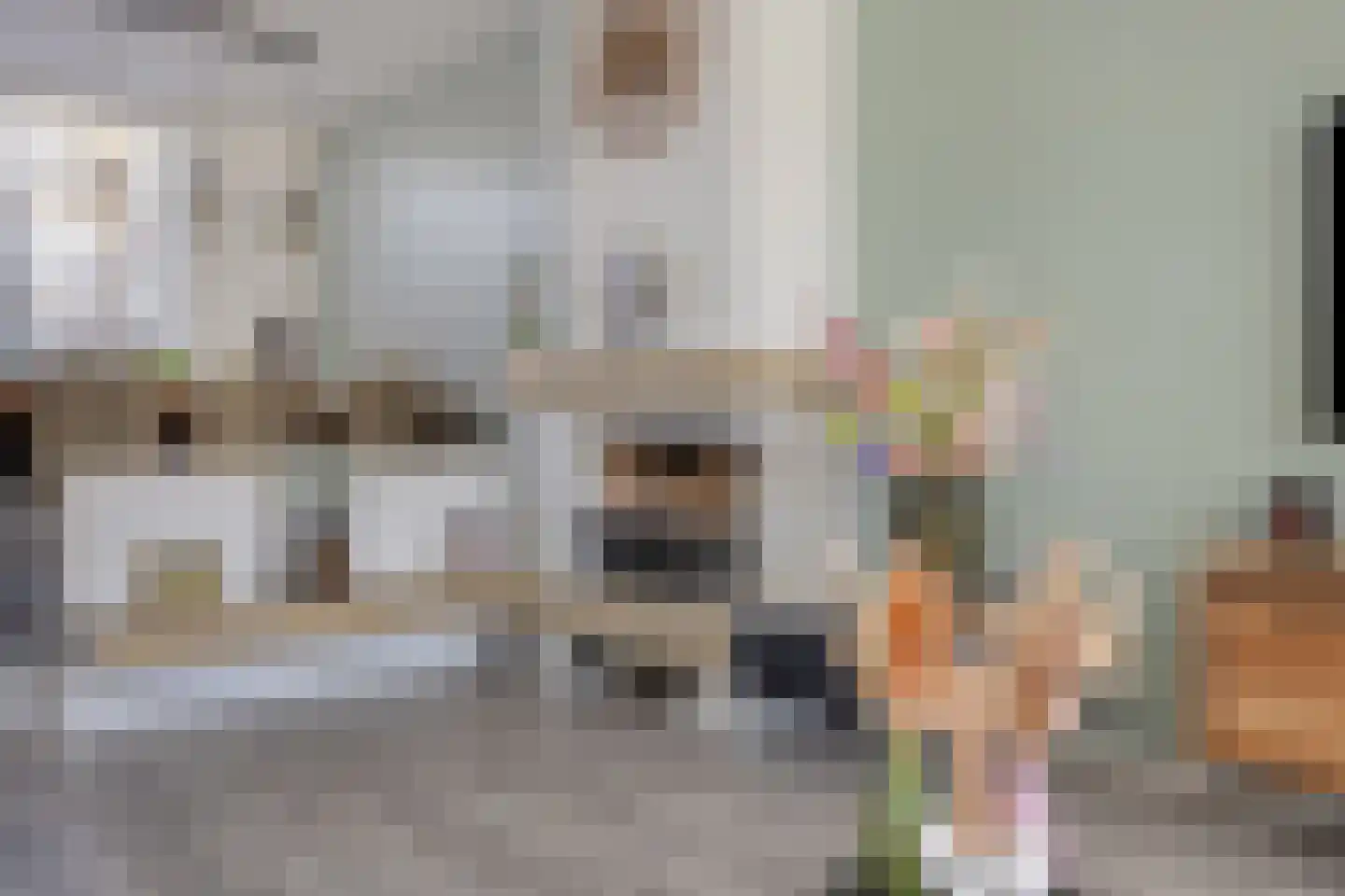 Ghijseland 257 Rhoon thumbnail 15