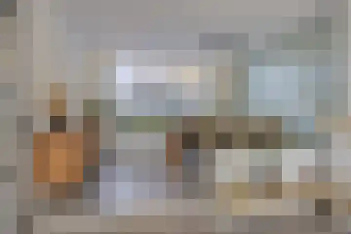 Ghijseland 257 Rhoon thumbnail 16