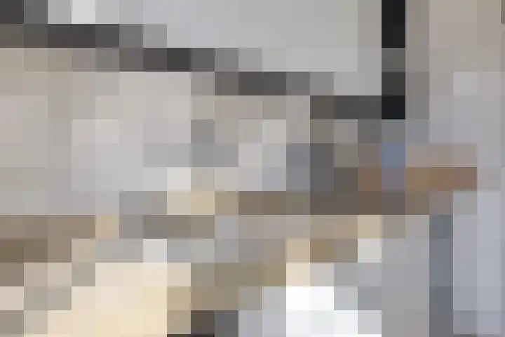 Ghijseland 257 Rhoon thumbnail 20