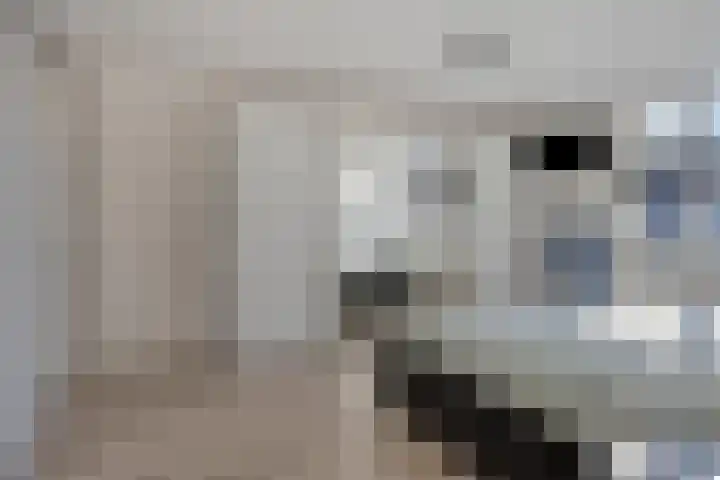 Ghijseland 257 Rhoon thumbnail 23