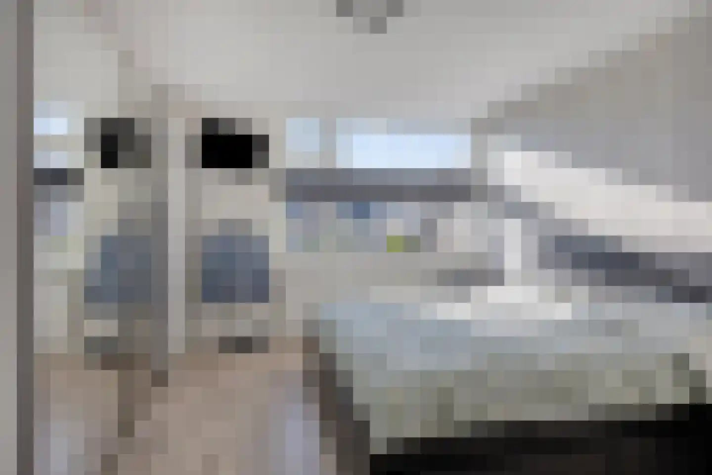 Ghijseland 257 Rhoon thumbnail 24