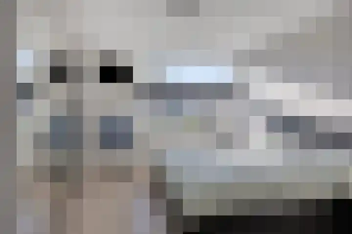 Ghijseland 257 Rhoon thumbnail 24