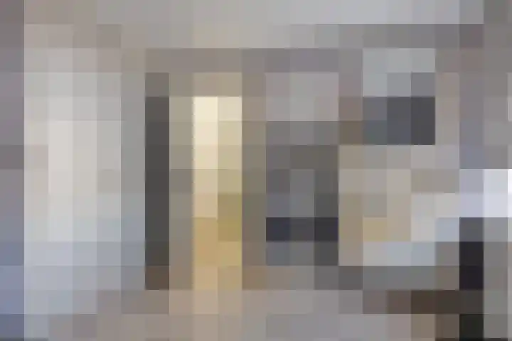 Ghijseland 257 Rhoon thumbnail 29