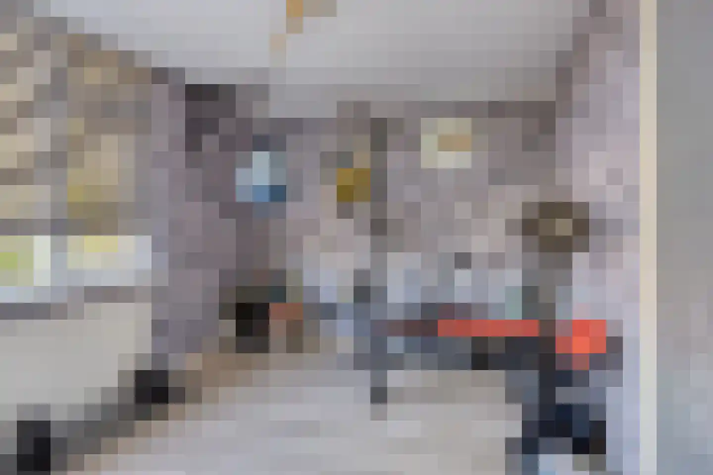Ghijseland 257 Rhoon thumbnail 30