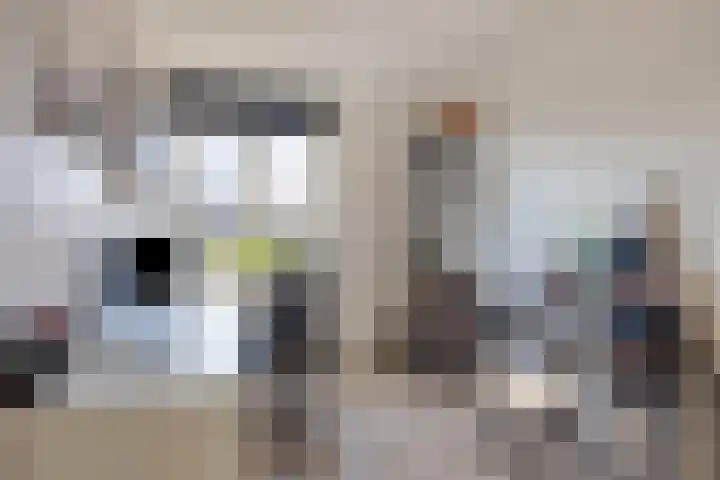 Ghijseland 257 Rhoon thumbnail 31