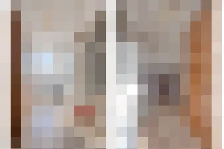 Ghijseland 257 Rhoon thumbnail 34