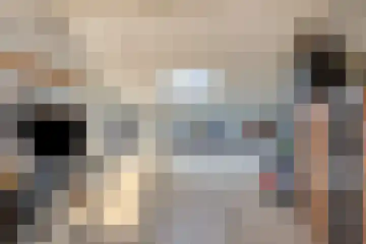 Ghijseland 257 Rhoon thumbnail 35