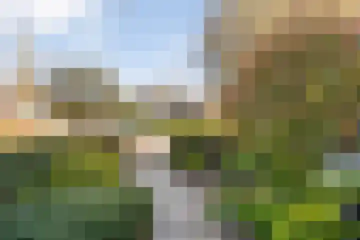 Ghijseland 257 Rhoon thumbnail 4
