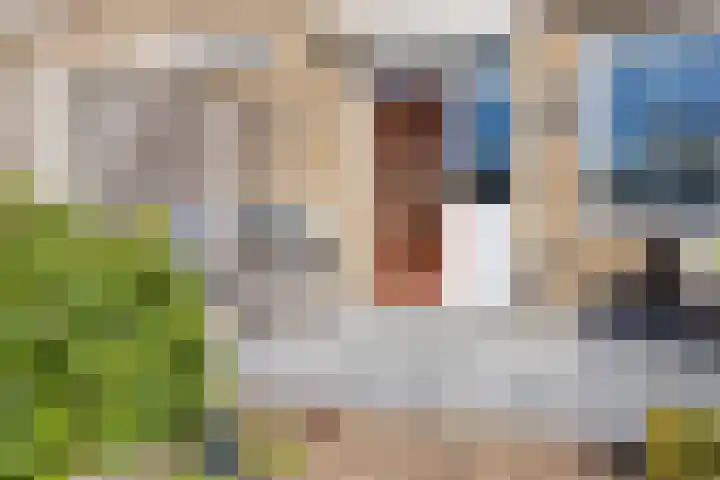 Ghijseland 257 Rhoon thumbnail 40