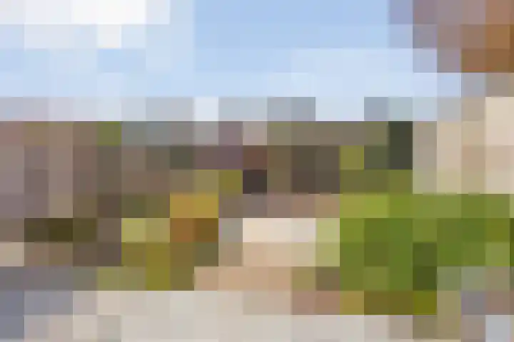 Ghijseland 257 Rhoon thumbnail 42