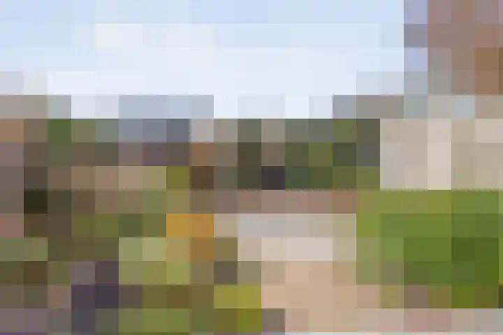 Ghijseland 257 Rhoon thumbnail 43