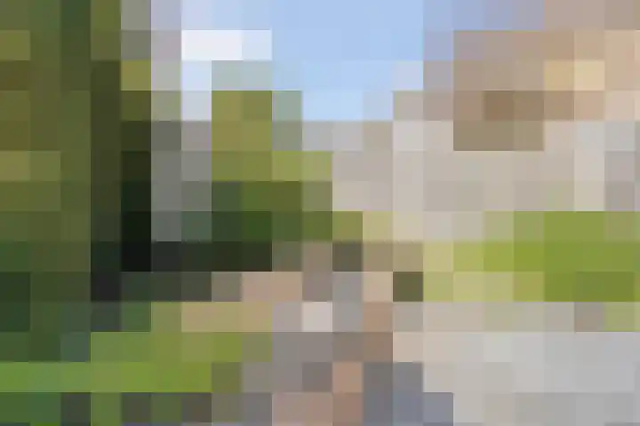 Ghijseland 257 Rhoon thumbnail 44