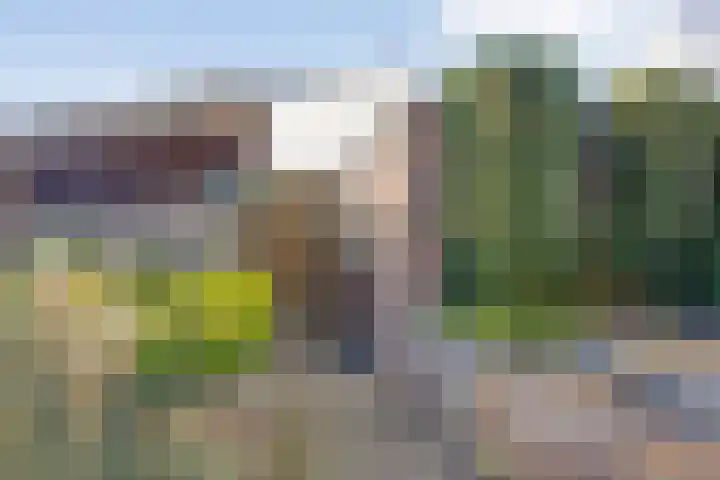 Ghijseland 257 Rhoon thumbnail 45