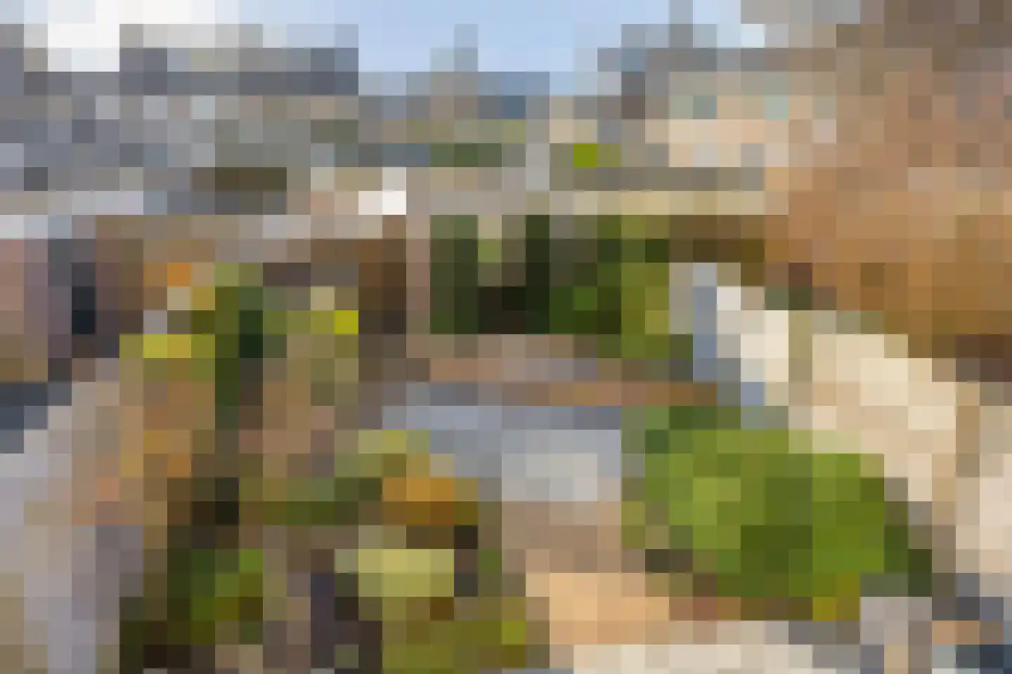Ghijseland 257 Rhoon thumbnail 46