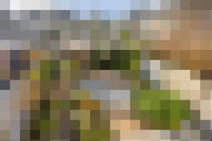 Ghijseland 257 Rhoon thumbnail 46