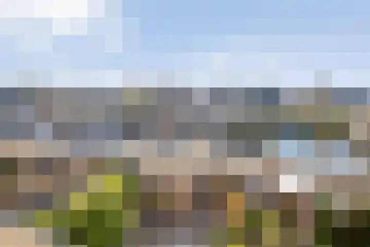 Ghijseland 257 Rhoon thumbnail 47
