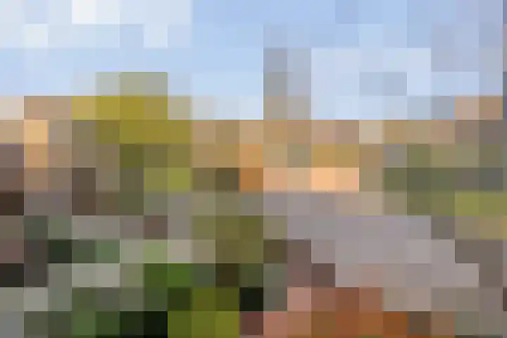 Ghijseland 257 Rhoon thumbnail 48