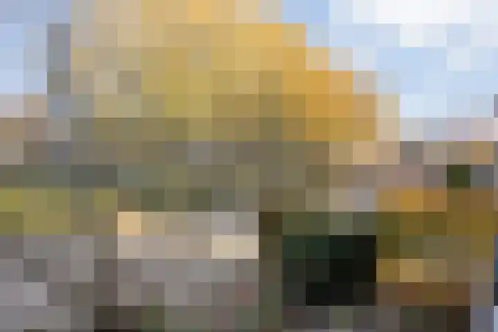 Ghijseland 257 Rhoon thumbnail 49