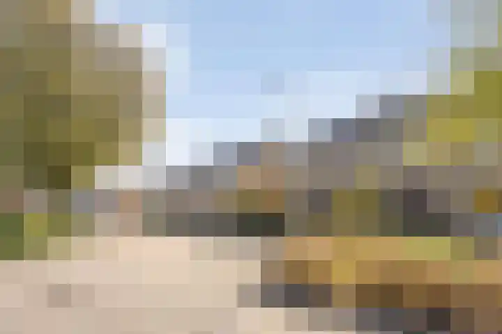 Ghijseland 257 Rhoon thumbnail 52
