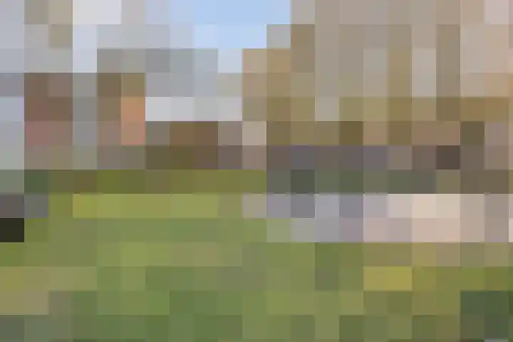 Ghijseland 257 Rhoon thumbnail 53