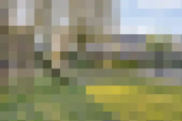 Ghijseland 257 Rhoon thumbnail 54