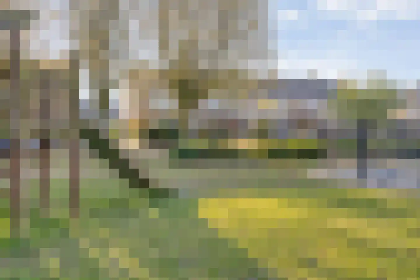 Ghijseland 257 Rhoon thumbnail 54