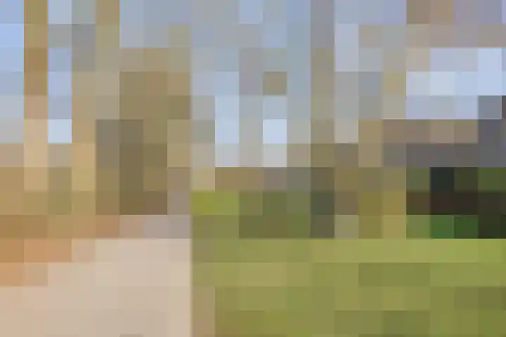 Ghijseland 257 Rhoon thumbnail 55