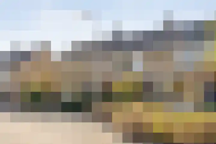 Ghijseland 257 Rhoon thumbnail 56