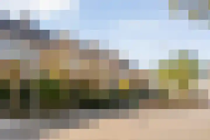 Ghijseland 257 Rhoon thumbnail 57