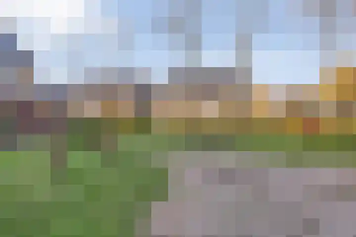 Ghijseland 257 Rhoon thumbnail 58