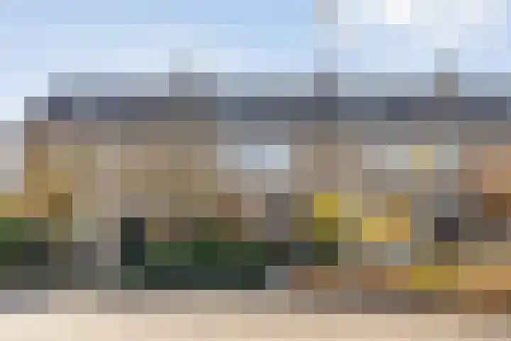 Ghijseland 257 Rhoon thumbnail 59