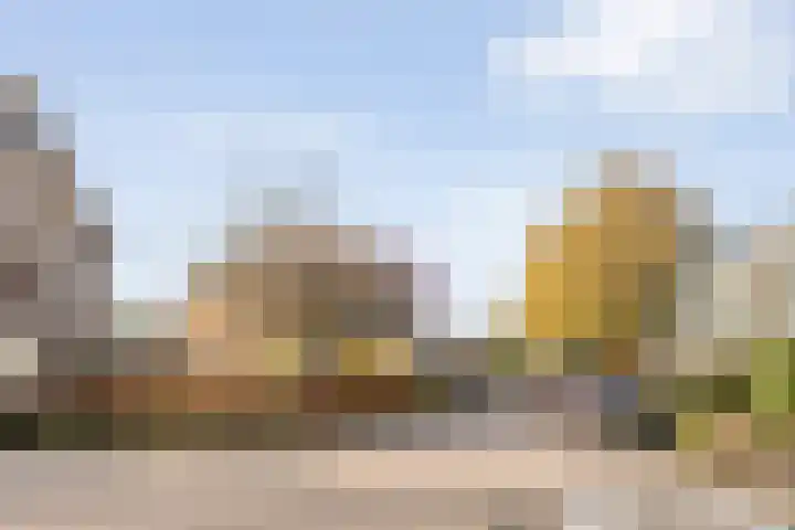 Ghijseland 257 Rhoon thumbnail 60