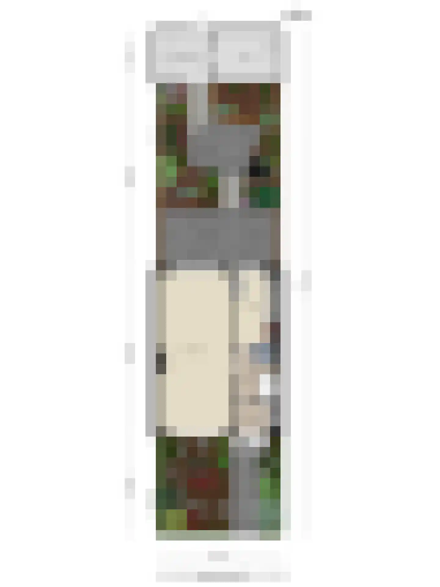 Ghijseland 257 Rhoon thumbnail 61