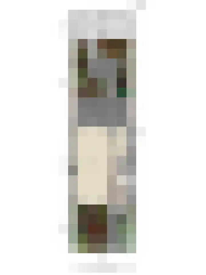 Ghijseland 257 Rhoon thumbnail 61