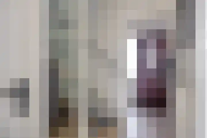 Ghijseland 257 Rhoon thumbnail 8