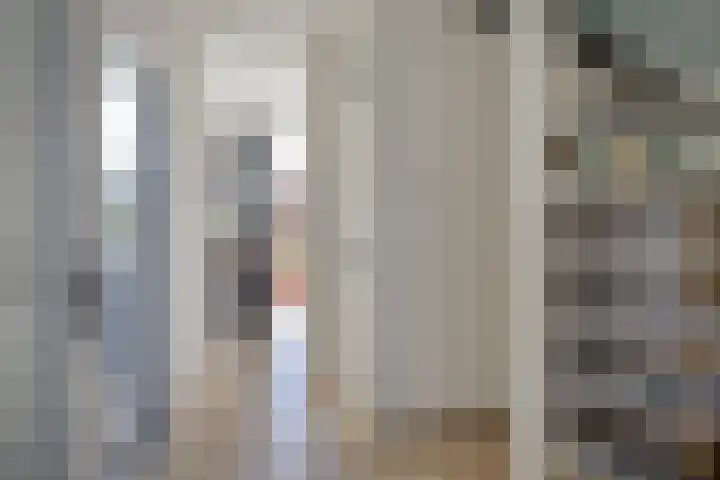 Ghijseland 257 Rhoon thumbnail 9