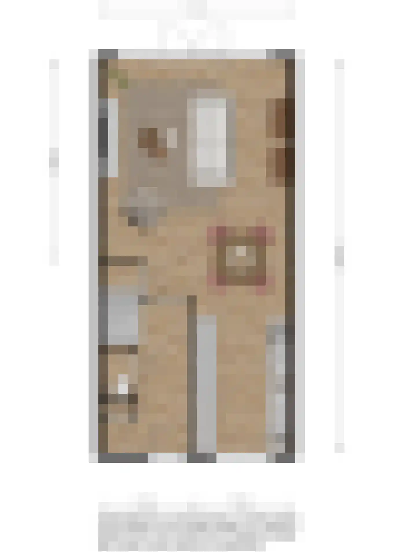 Ghijseland 259 c Rhoon thumbnail 10
