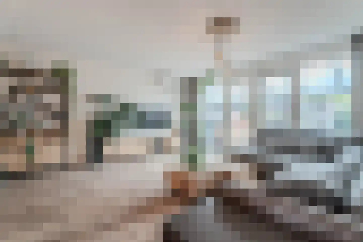 Ghijseland 259 c Rhoon thumbnail 19