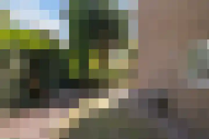 Ghijseland 47 Rhoon thumbnail 10
