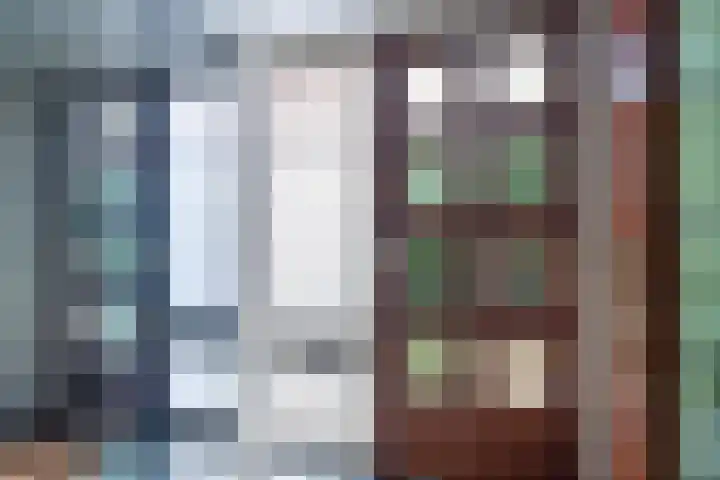 Ghijseland 47 Rhoon thumbnail 12