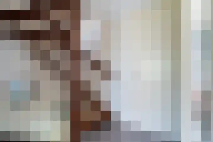 Ghijseland 47 Rhoon thumbnail 20
