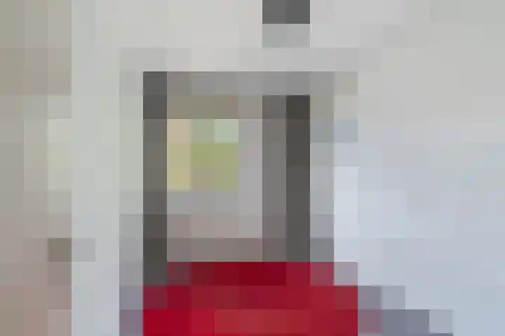 Ghijseland 47 Rhoon thumbnail 24