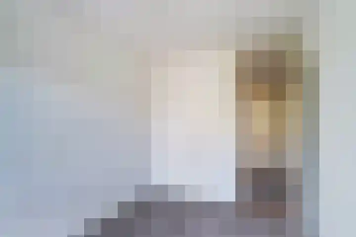 Ghijseland 47 Rhoon thumbnail 25