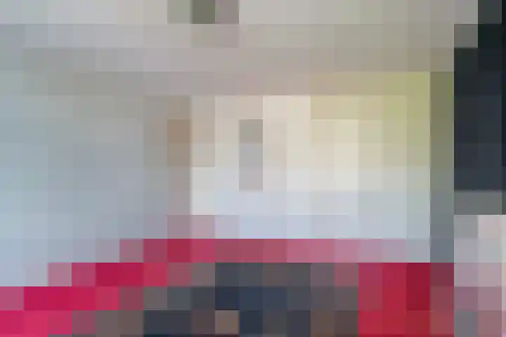 Ghijseland 47 Rhoon thumbnail 29