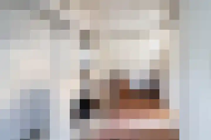 Ghijseland 47 Rhoon thumbnail 32