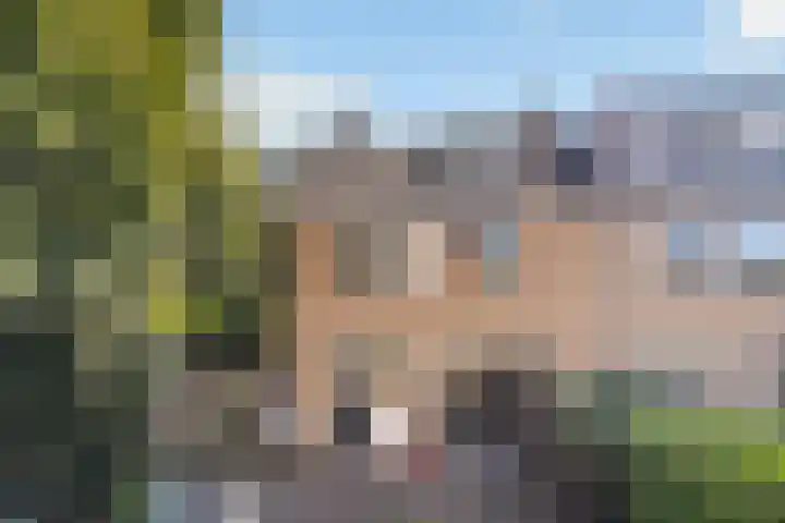 Ghijseland 47 Rhoon thumbnail 38