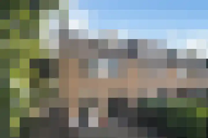 Ghijseland 47 Rhoon thumbnail 39